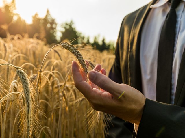 Agrobusiness-portugal